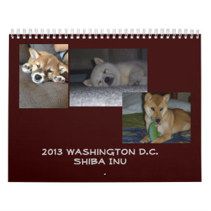 Calendário Washington 2013 C.C. Shiba Inu