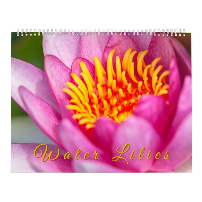 Calendário Water Lilies  (Capa)