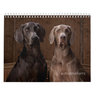 Calendário Weimaraners