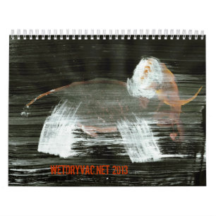 Calendário Wetdryvac.Net 2013