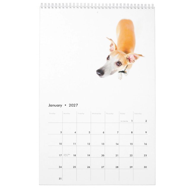 Calendário Whippets no estúdio 2013 (Jan 2027)