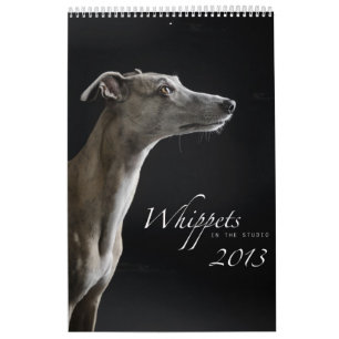 Calendário Whippets no estúdio 2013