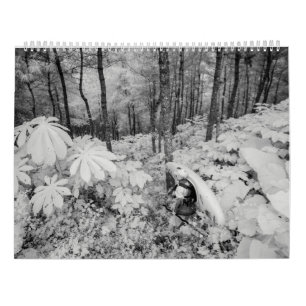 Calendário Whitewater 2016