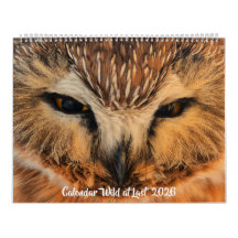 Calendário 'Wild at Last' 2026