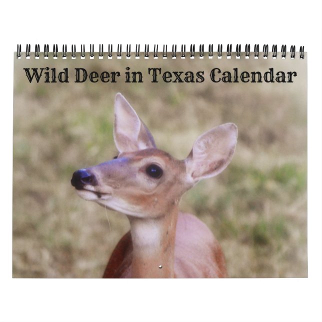 Calendário Wild Deer no Texas Calendar (Capa)