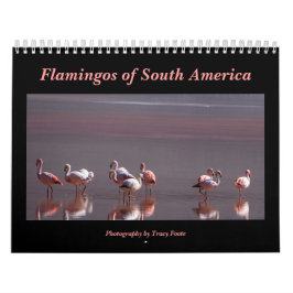 Calendário Wild Flamingo South America Birds