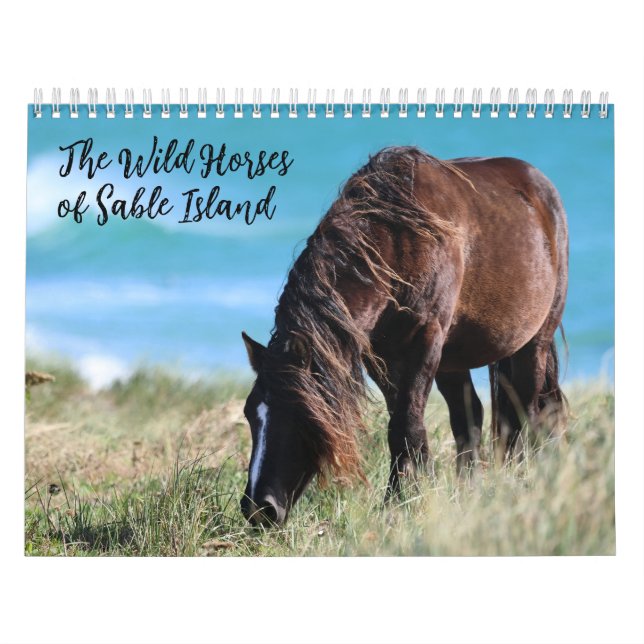 Calendário Wild Horses of Sable Island (Capa)