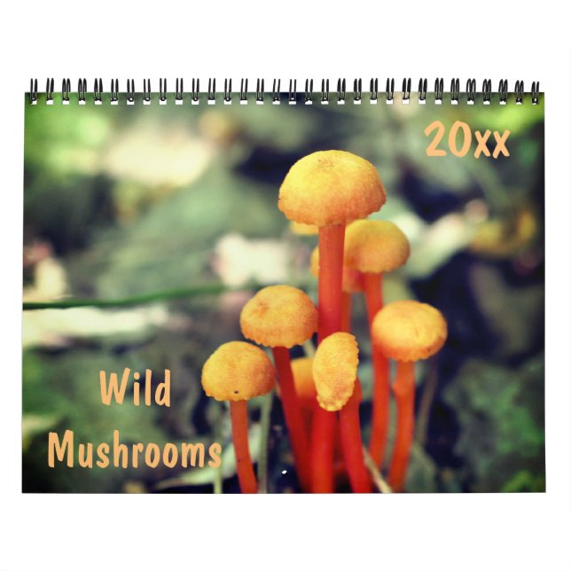 Calendário Wild Mushrooms Photography  (Capa)