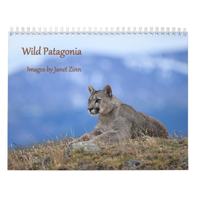 Calendário Wild Patagonia: Pumas and wildlife (Capa)