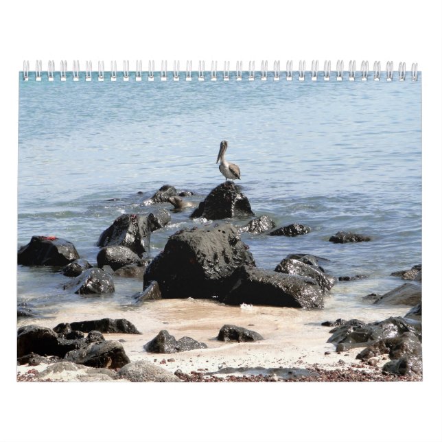 Calendário wild world of the Galapagos (Capa)
