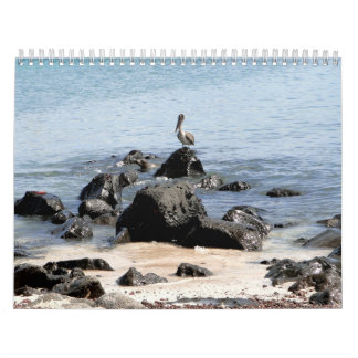 Calendário wild world of the Galapagos