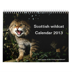 Calendário - wildcat escocês