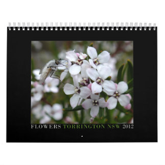 Calendário Wildflowers australianos