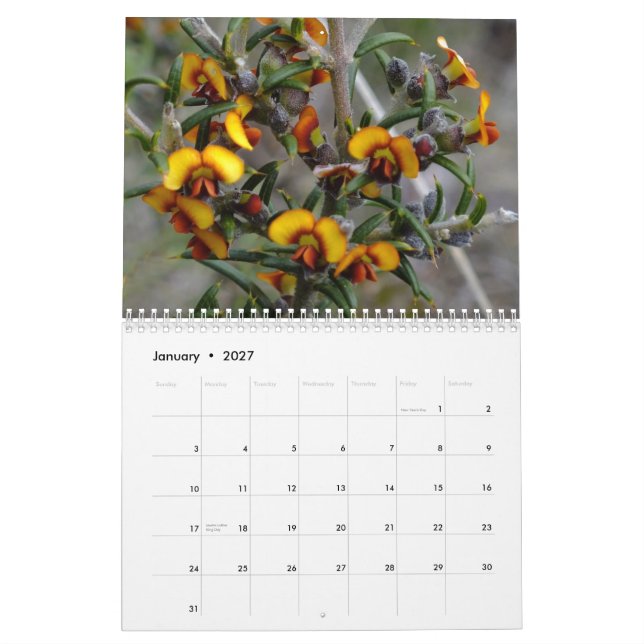 Calendário Wildflowers australianos (Jan 2027)