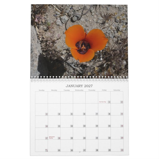 Calendário Wildflowers Calander do deserto (Jan 2027)