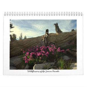 Calendário Wildflowers da serra Nevada