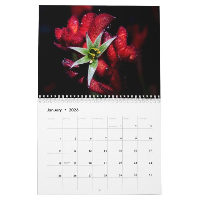Calendário Wildflowers de Austrália (Jan 2026)