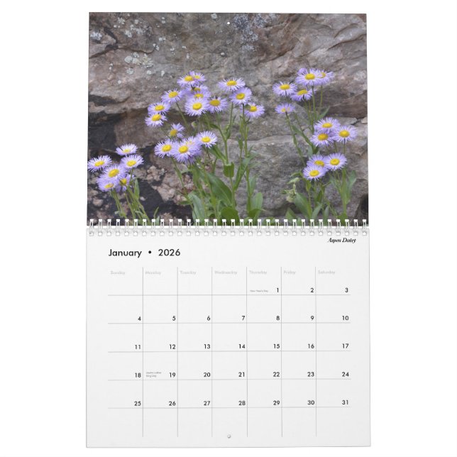 Calendário Wildflowers de Colorado (Jan 2026)