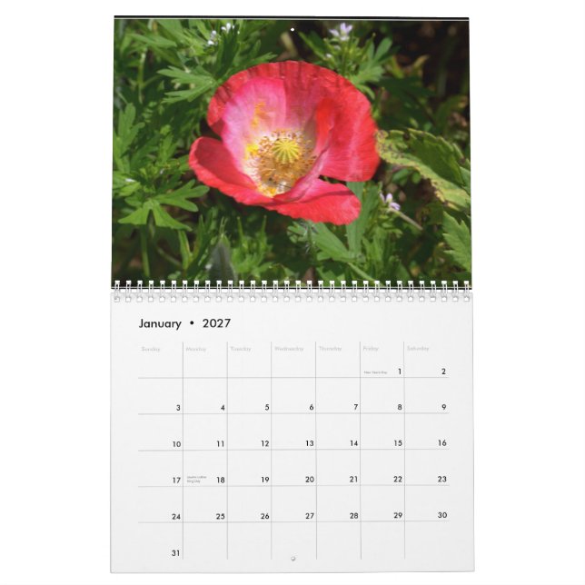 Calendário Wildflowers de Texas (Jan 2027)