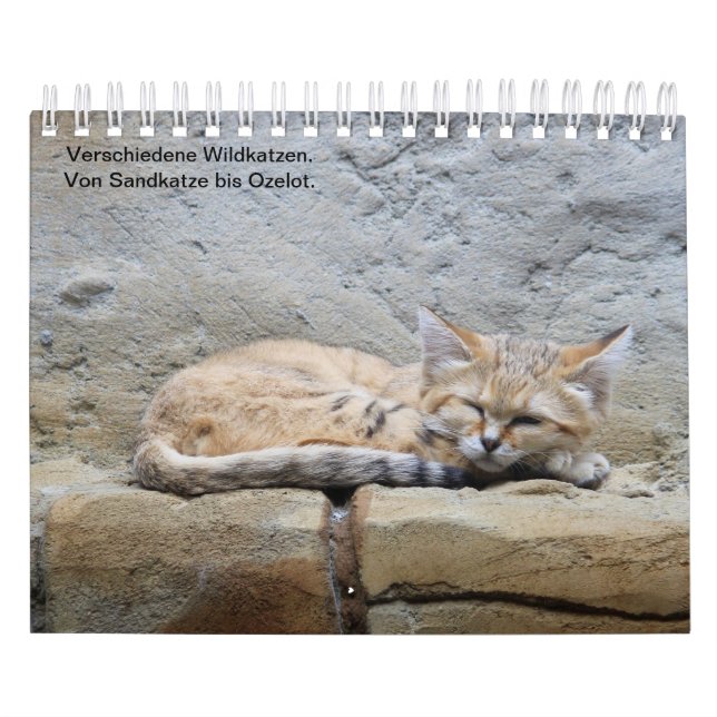 Calendário Wildkatzen_. (Capa)