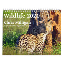 Wildlife 2021, por Chris Milligan