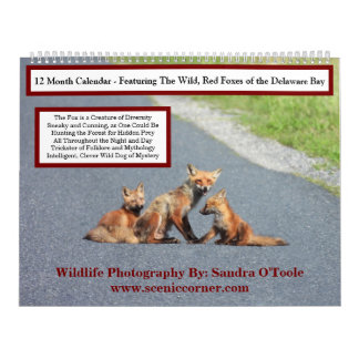 Calendário Wildlife Calendar, Red Foxes