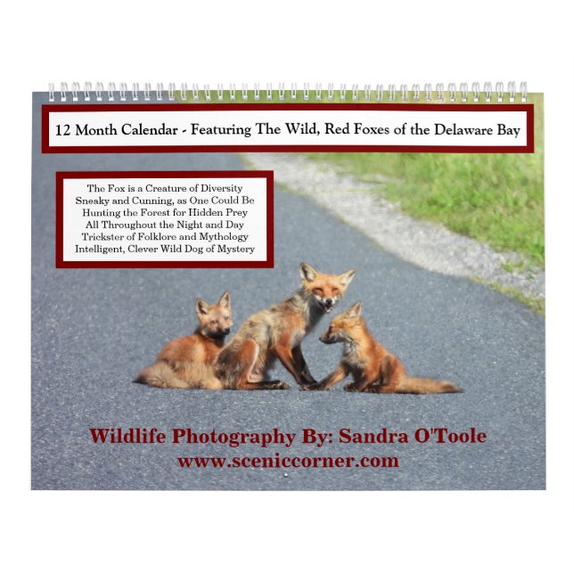 Calendário Wildlife Calendar, Red Foxes (Capa)