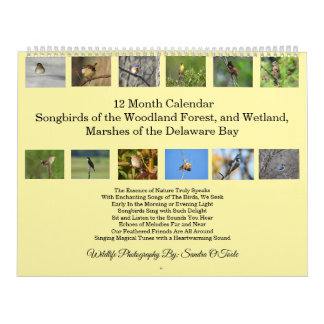 Calendário Wildlife Calendar, Songbirds, Wild Birds