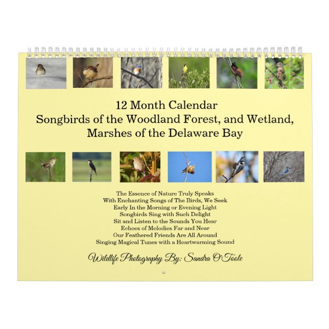 Calendário Wildlife Calendar, Songbirds, Wild Birds  (Capa)