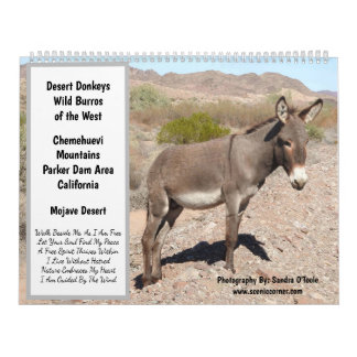 Calendário Wildlife Calendar, wild donkeys, burros, desert
