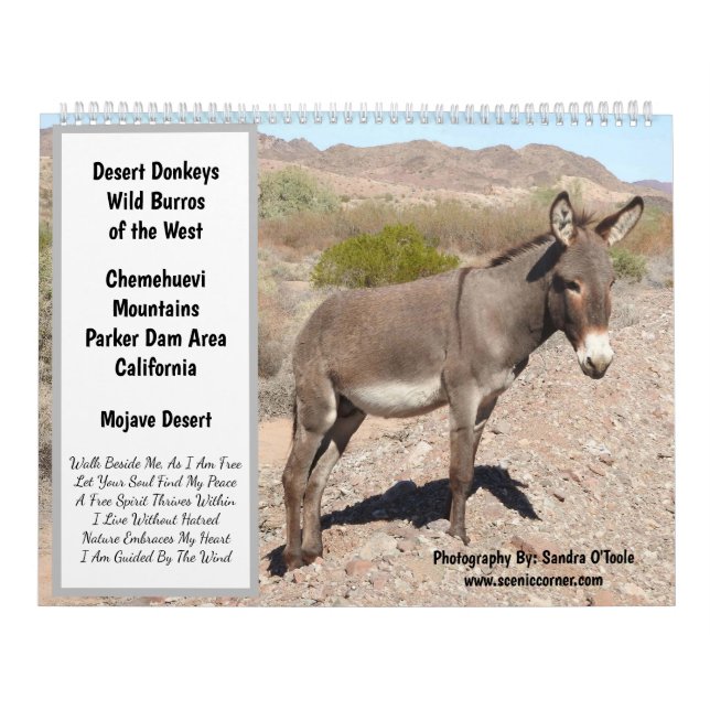 Calendário Wildlife Calendar, wild donkeys, burros, desert (Capa)
