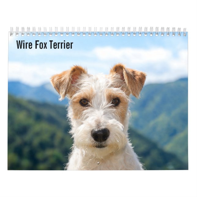 Calendário Wire Fox Terrier 2027 (Capa)