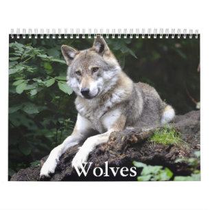 Calendário Wolf Calendar