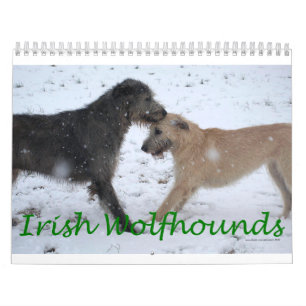 Calendário Wolfhound irlandês 2012