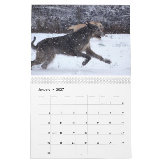 Calendário Wolfhound irlandês 2012 (Jan 2027)