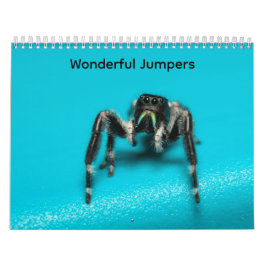 Calendário Wonderful Jumpers