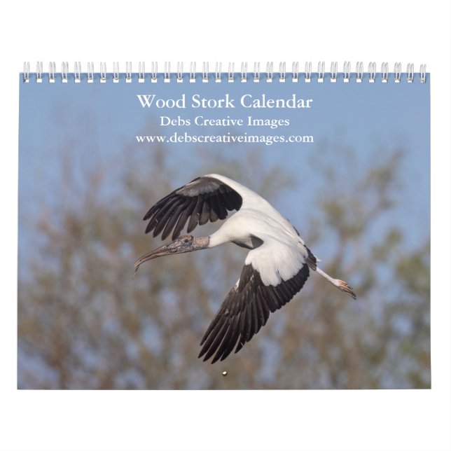 Calendário Wood Stork 2026 (Capa)
