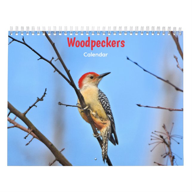 Calendário Woodpeckers Calendar (Capa)