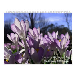 Calendário Woods Walking 2022 Calendar