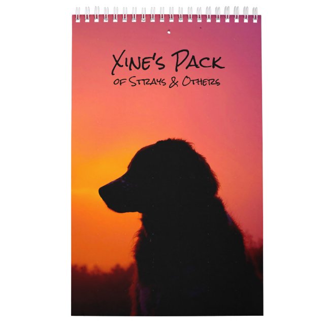 Calendário Xine's Pack of Strays & Others Calendar (Capa)