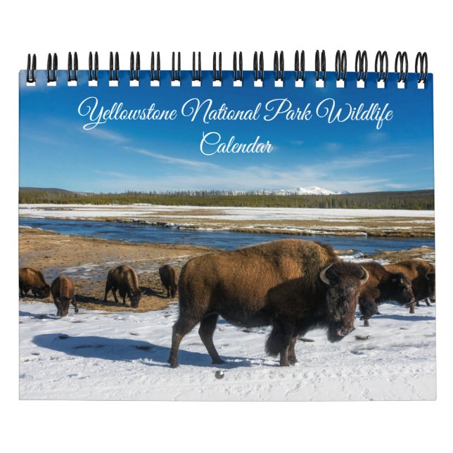 Calendário Yellowstone Calendar-Wildlife Calendar (Capa)
