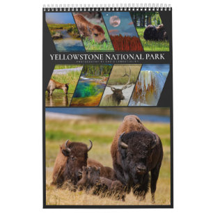 Calendário Yellowstone Um Lugar Muito Especial