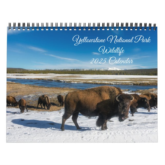 Calendário Yellowstone-Wildlife Calendar (Capa)