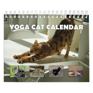 Calendário Yoga Cat