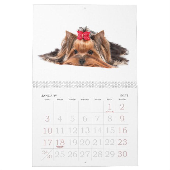 Calendário Yorkshires terrier bonitos (Jan 2027)