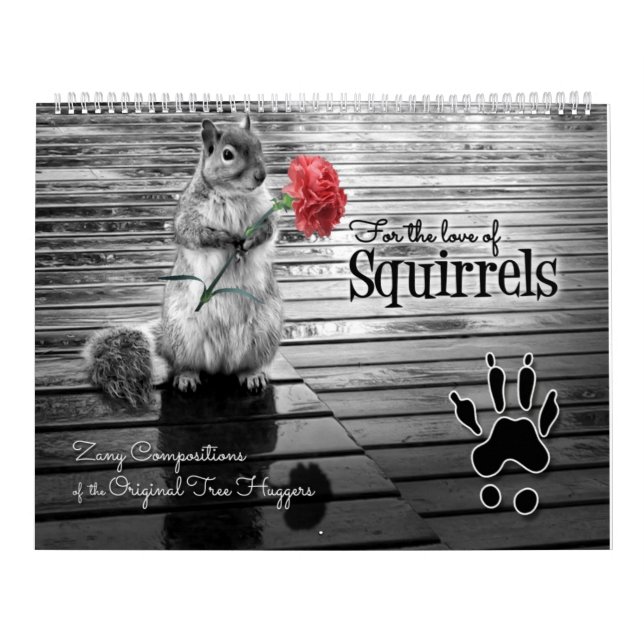 Calendário Zany Squirrel Lover Wildlife 12 meses (Capa)