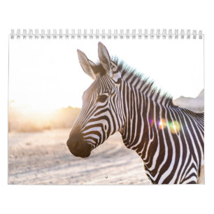 Calendário Zebra