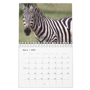 Calendário Zebra
