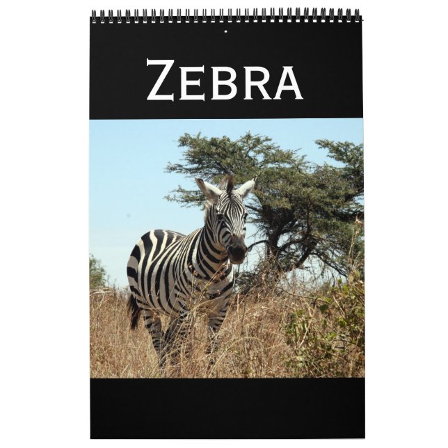 Calendário zebra (Capa)