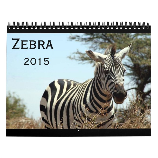 Calendário zebra 2015 (Capa)